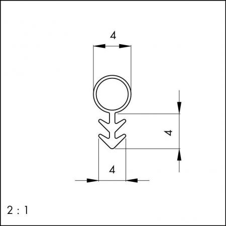 Tannenzapfen 104 1