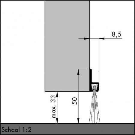 IBS 50 1